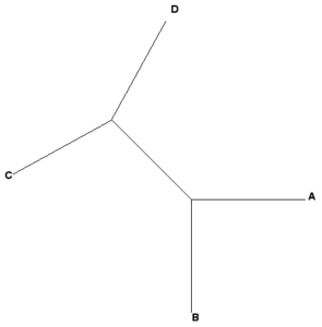 unrooted tree, 4 taxa