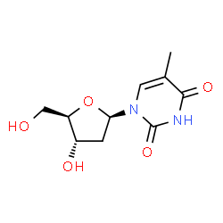 Thymidine