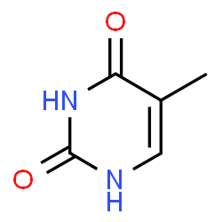 thymine